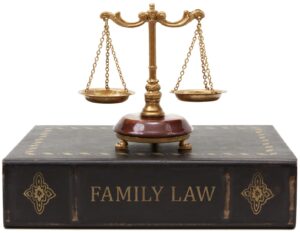 PROVISIONS OF THE FAMILY LAW ACT