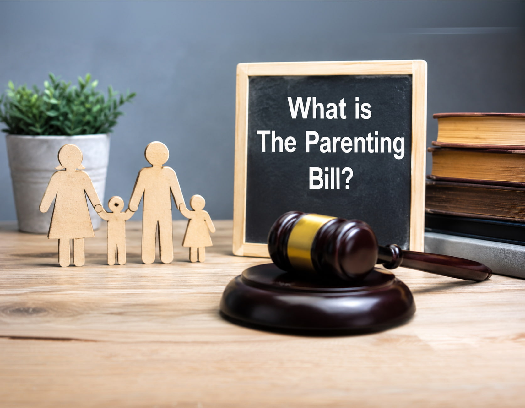 What is The Parenting Bill