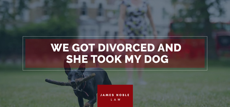 Pets Law: We Got Divorced and She Took My Dog - James Noble Law