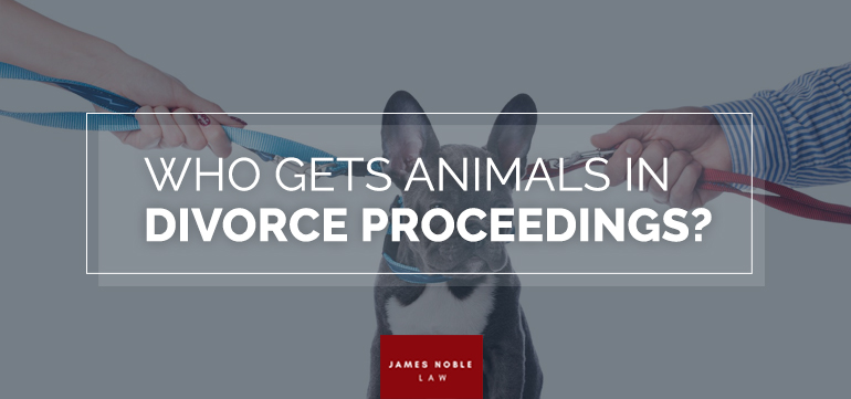 Animals in Divorce Proceedings