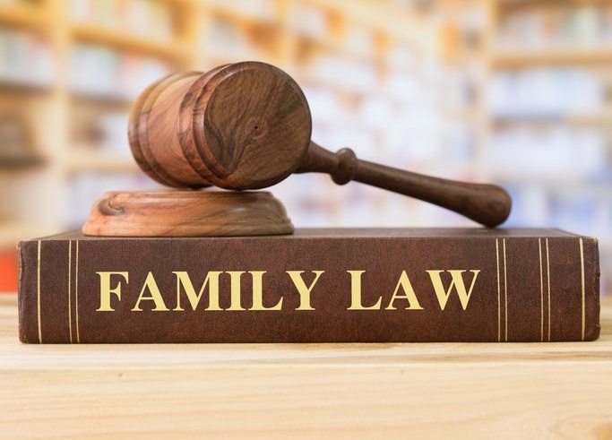 family law system